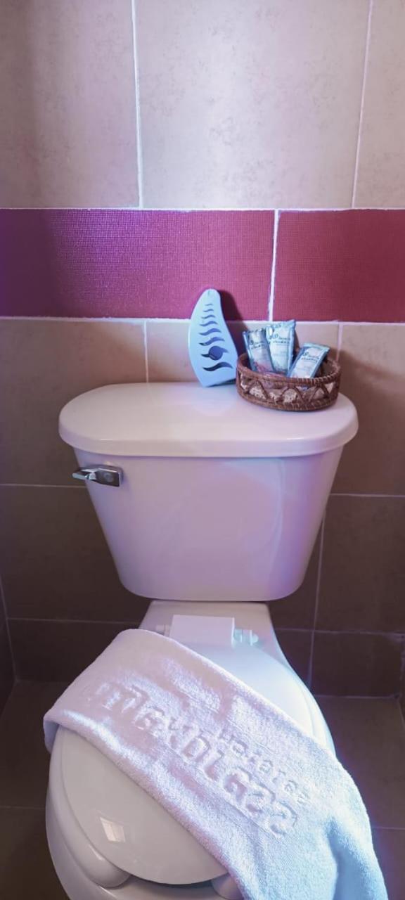 Alebrije Hotel Boutique Amanalco de Becerra Dış mekan fotoğraf